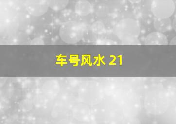 车号风水 21